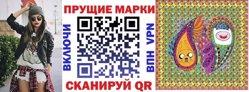 купить   Гороховец  Марки N-bome 1,8мг 