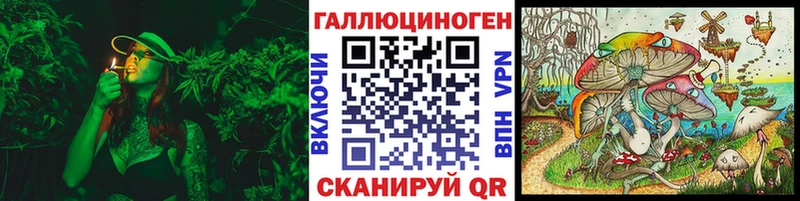 Галлюциногенные грибы Psilocybe  где найти   ссылка на мегу   Гороховец 